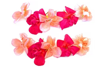 Természetes Geránium Illóolaj 10 ml 