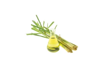 Természetes Citromfű Illóolaj 10 ml 