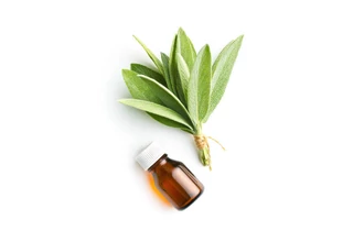 Természetes Zsálya Illóolaj 10 ml